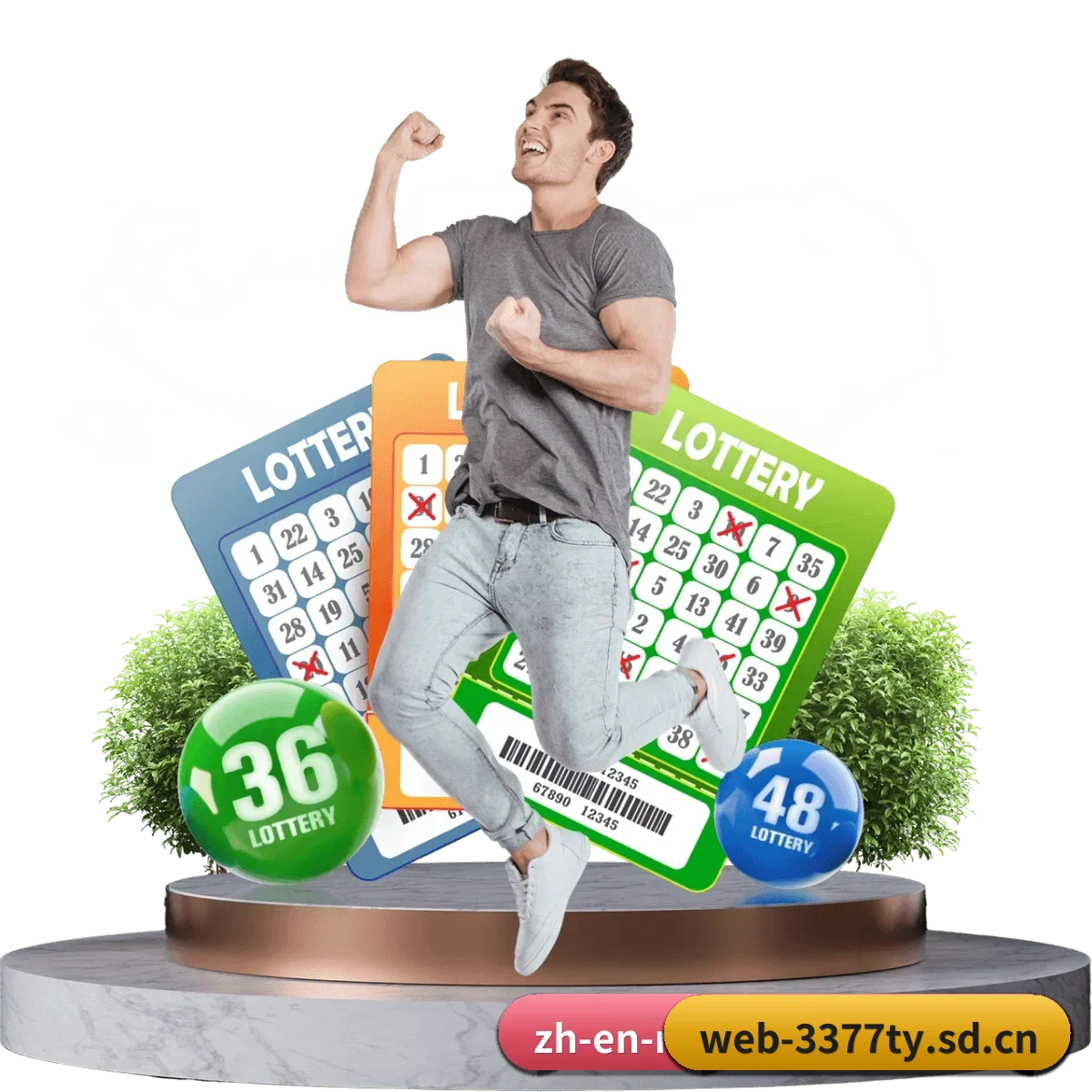 3377体育网页版 APP 界面